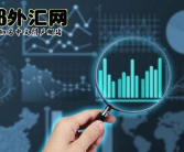 外汇网,外汇市场运作机制解析