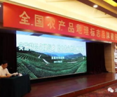 中国农业局,推动农业现代化，助力乡村振兴战略实施”