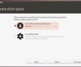 ubuntu 11.04 安装,硬盘与虚拟机安装步骤详解