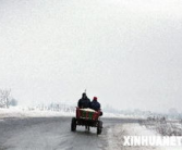 俄罗斯“断气”重创欧洲,经济、民生与地缘政治的多重冲击