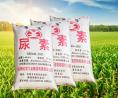尿素高的原因,揭秘原因与应对策略”