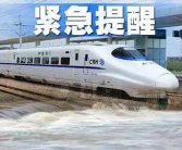 列车停运,多因素影响下的铁路运输安全与调整措施