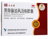 追风节愈胶囊,创新科技助力健康生活新篇章